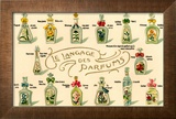 French Perfume Language