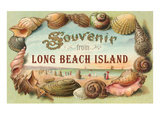 Souvenir from Long Beach Island  New Jersey