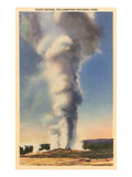 Giant Geyser  Yellowstone Park  Montana
