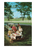 Roadside Family Picnic