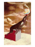Performing Seal  Retro