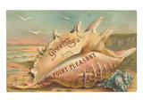 Greetings from Point Pleasant  New Jersey