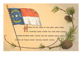 North Carolina Flag and Poem