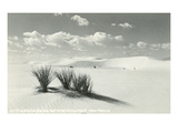 White Sands National Monument  New Mexico