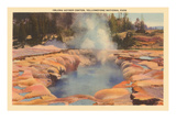 Oblong Geyser  Yellowstone Park  Montana