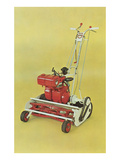 Motorized Lawnmower