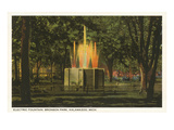 Electric Fountain  Kalamazoo  Michigan