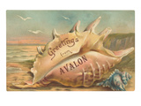 Greetings from Avalon  New Jersey
