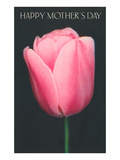 Happy Mothers Day  Pink Tulip