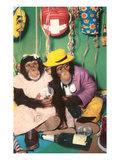 Chimpanzees in Party Mode