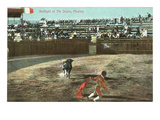 Bullfight  Tijuana  Mexico