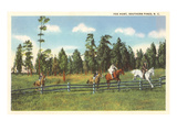 Fox Hunt  Southern Pines  North Carolina