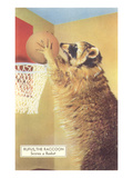 Raccoon Playing Basketball