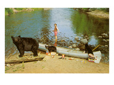 Bear Family in Canoe  Kid Screaming