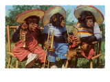 Three Chimpanzees with Brass Instruments and Hats