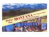 Greetings from Montana  Treasure State
