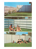 Fencing Advertisement