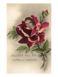 Dolores Del Rio  Mexican Star