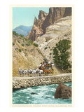 Horse-Drawn Carriage  Yellowstone Park  Montana