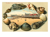 Beach Front  Asbury Park  New Jersey