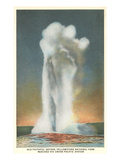 Old Faithful  Yellowstone Park  Montana