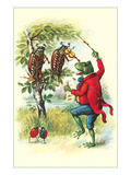 Frog and Beetle Band