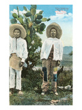 Indians from Central Mexico