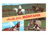 Howdy from Montana  Horses