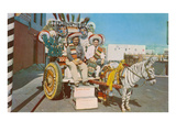 Zebra Donkey Cart  Tijuana  Mexico