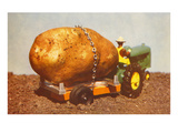 Giant Potato on Toy Tractor