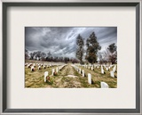 The Endless Rows of Arlington Cemetery