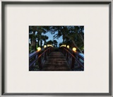 The Gentle Bridge