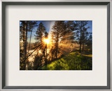 Morning Coffee Yellowstone Fog