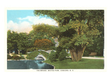 Whites Park  Concord  New Hampshire