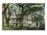 The Elms Mansion  Natchez  Mississippi