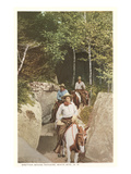 Bretton Woods Rangers  New Hampshire
