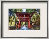 Red Gate After Rain