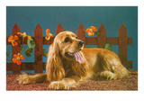 Cocker Spaniel  Retro