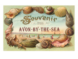Souvenir from Avon-by-the-Sea  New Jersey