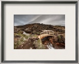 Bridge of the Dark Fairy