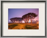 Trees and an Aircraft Carrier in the Fog