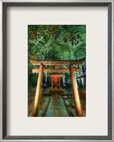 Hidden Temple in Bamboo at Night