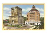 Courthouse and City Hall  Asheville  North Carolina