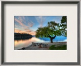 Tree at the Serene Lake