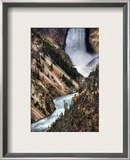 The Falls of Yellowstone