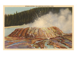 Sponge Geyser  Yellowstone Park  Montana