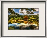 The Golden Pavilion