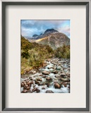 A Gentle Stream Through New Zealand