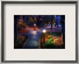 Central Park in the Fall