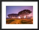 Trees and an Aircraft Carrier in the Fog